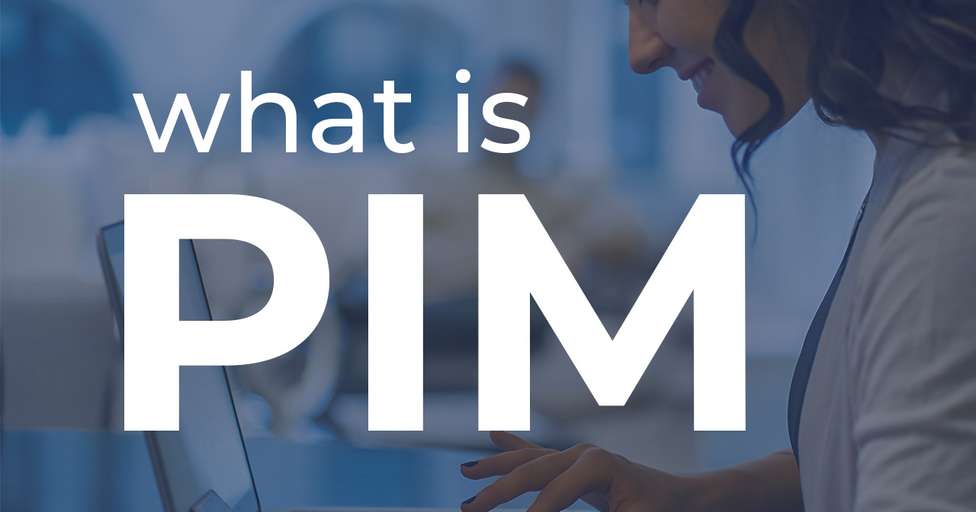 o que é o pim e porque é importante para as lojas online? 
